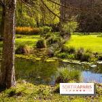 Les tulipes du Château de Dampierre, son jardin anglais et le jardin Le Nôtre