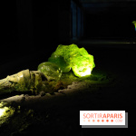 Les Extatiques souterrains : un parcours artistique introspectif sous la Grande arche de La Défense - fotor 1775122231386