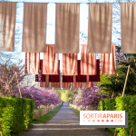 Hanami au Parc de Sceaux 2026, les cerisiers en fleurs et ses  animations - A7C01486