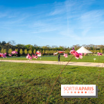 Hanami au Parc de Sceaux 2026, les cerisiers en fleurs et ses  animations