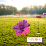 Hanami au Parc de Sceaux 2026, les cerisiers en fleurs et ses  animations
