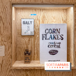 Exposition Henry Taylor au Musée Picasso - IMG 6053