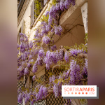 Château de Courson et son domaine : Parc Botanique et Jardin Remarquable en Région Parisienne  - A7C03024