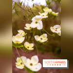 Château de Courson et son domaine : Parc Botanique et Jardin Remarquable en Région Parisienne  - A7C02947