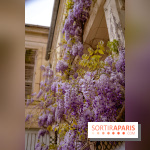 Château de Courson et son domaine : Parc Botanique et Jardin Remarquable en Région Parisienne  - A7C03026