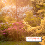 Château de Courson et son domaine : Parc Botanique et Jardin Remarquable en Région Parisienne  - A7C02951 Edit