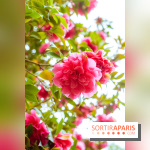 Château de Courson et son domaine : Parc Botanique et Jardin Remarquable en Région Parisienne  - A7C02945