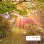 Château de Courson et son domaine : Parc Botanique et Jardin Remarquable en Région Parisienne  - A7C02954 Edit