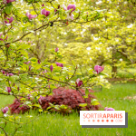 Château de Courson et son domaine : Parc Botanique et Jardin Remarquable en Région Parisienne  - A7C02900