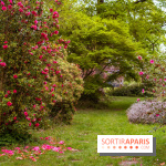 Château de Courson et son domaine : Parc Botanique et Jardin Remarquable en Région Parisienne  - A7C02940 HDR