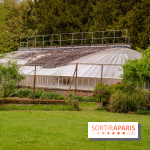 Château de Courson et son domaine : Parc Botanique et Jardin Remarquable en Région Parisienne  - A7C02887
