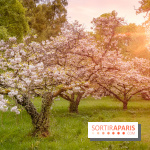 Château de Courson et son domaine : Parc Botanique et Jardin Remarquable en Région Parisienne  - A7C02889 Edit