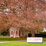 Château de Courson et son domaine : Parc Botanique et Jardin Remarquable en Région Parisienne  - A7C02880