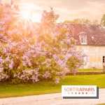 Château de Courson et son domaine : Parc Botanique et Jardin Remarquable en Région Parisienne  - A7C02883 Edit