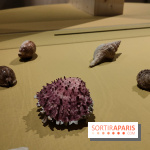 Explorateurs, une exposition du musée de l'armée