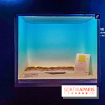 Exposition Frontière à la Cité des sciences : comprendre les frontières dans le monde - IMG 6396