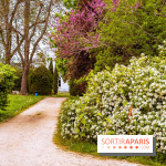 Le Château de Buc et son superbe domaine, parc paysagé aux nombreux trésors