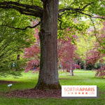Le Château de Buc et son superbe domaine, parc paysagé aux nombreux trésors