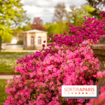 Parc et Jardins du Château de Fontainebleau - les photos