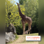 ZooParc de Beauval et Hôtel Les Pagodes de Beauval - IMG 5377