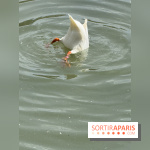 ZooParc de Beauval et Hôtel Les Pagodes de Beauval - IMG 5382