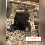 ZooParc de Beauval et Hôtel Les Pagodes de Beauval - IMG 5425