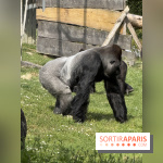 ZooParc de Beauval et Hôtel Les Pagodes de Beauval - IMG 5436