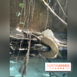 ZooParc de Beauval et Hôtel Les Pagodes de Beauval - IMG 5614