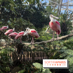 ZooParc de Beauval et Hôtel Les Pagodes de Beauval - IMG 5626