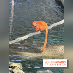 ZooParc de Beauval et Hôtel Les Pagodes de Beauval - IMG 5635