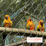 ZooParc de Beauval et Hôtel Les Pagodes de Beauval - IMG 5670