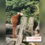 ZooParc de Beauval et Hôtel Les Pagodes de Beauval - IMG 5850