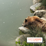 ZooParc de Beauval et Hôtel Les Pagodes de Beauval - IMG 5892