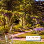 Le Parc des Ibis au Vésinet dans les Yvelines en Région Parisienne - photos  - A7200695