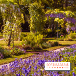 Le Parc des Ibis au Vésinet dans les Yvelines en Région Parisienne - photos  - A7200696