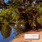 Le Parc des Ibis au Vésinet dans les Yvelines en Région Parisienne - photos  - A7200602