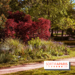 Le Parc des Ibis au Vésinet dans les Yvelines en Région Parisienne - photos  - A7200566