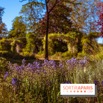 Le Parc des Ibis au Vésinet dans les Yvelines en Région Parisienne - photos  - A7200591