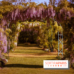 Le Parc des Ibis au Vésinet dans les Yvelines en Région Parisienne - photos  - A7200561