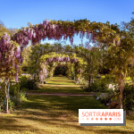 Le Parc des Ibis au Vésinet dans les Yvelines en Région Parisienne - photos  - A7200434