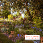 Le Parc des Ibis au Vésinet dans les Yvelines en Région Parisienne - photos  - A7200443