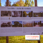 Le Parc des Ibis au Vésinet dans les Yvelines en Région Parisienne - photos  - A7200418