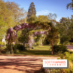 Le Parc des Ibis au Vésinet dans les Yvelines en Région Parisienne - photos  - A7200429