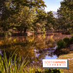 Le Parc des Ibis au Vésinet dans les Yvelines en Région Parisienne - photos  - A7200412