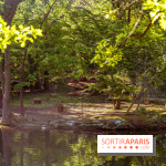 Le Parc des Ibis au Vésinet dans les Yvelines en Région Parisienne - photos  - A7200603