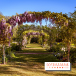 Le Parc des Ibis au Vésinet dans les Yvelines en Région Parisienne - photos  - A7200434 2