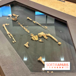 Préhistoire, entre utopie et réalité  - IMG 5563