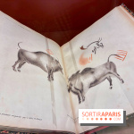 Préhistoire, entre utopie et réalité  - IMG 5581