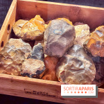 Préhistoire, entre utopie et réalité  - IMG 5589