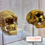 Préhistoire, entre utopie et réalité  - IMG 5601